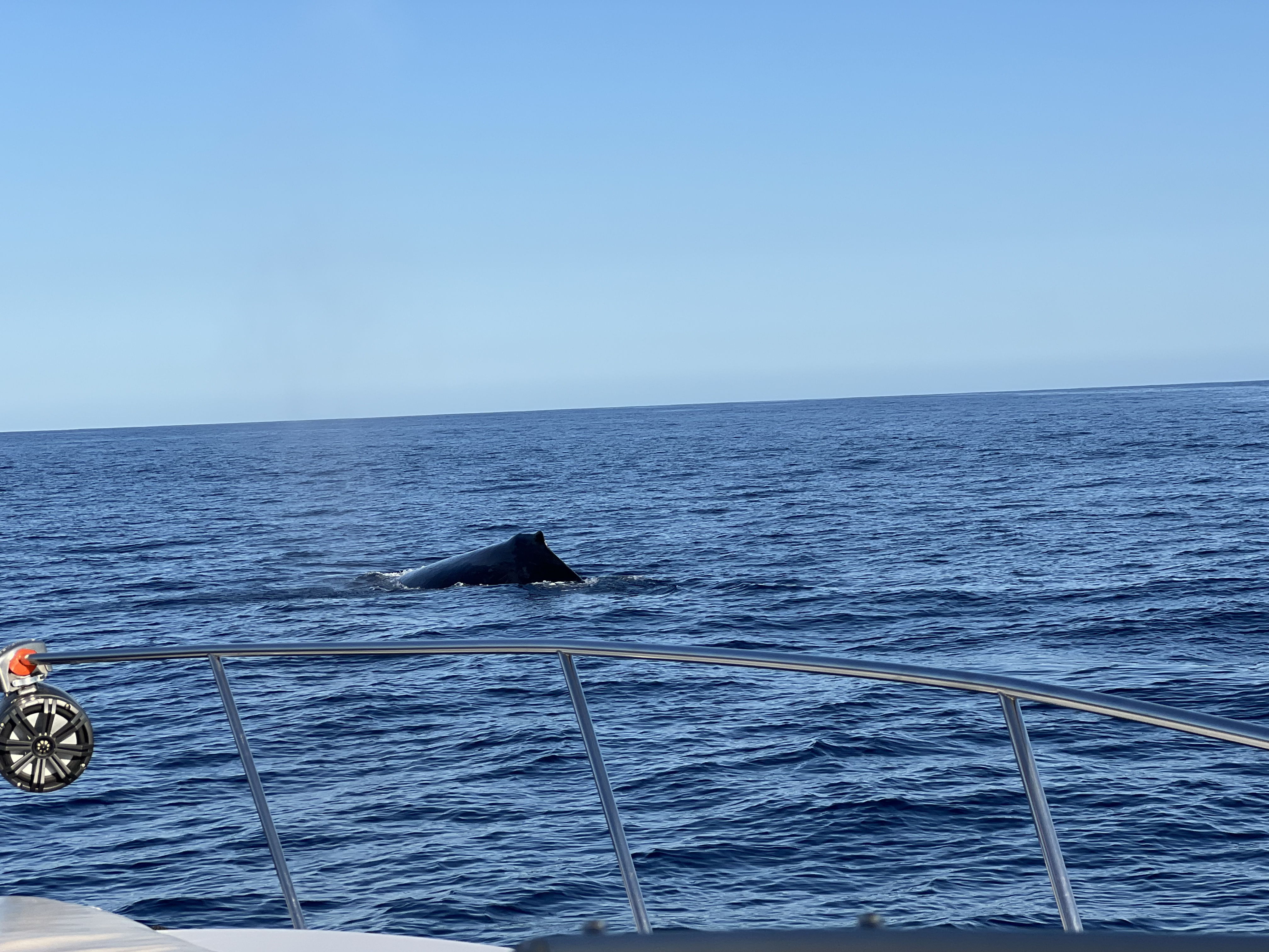 ./2024/13 - Cabo/IMG_4705.jpg